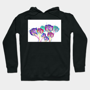 Pastel infrared roses Hoodie